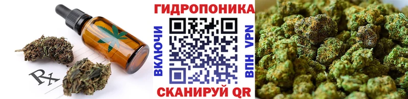 Купить закладки  Белая Холуница  Еда ТГК конопля 