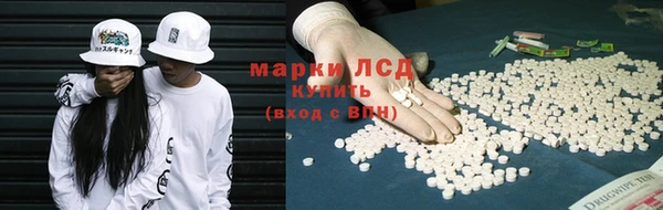 прущие грибы Богданович