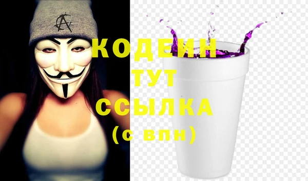 прущие грибы Богданович