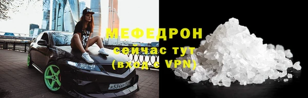 прущие грибы Богданович